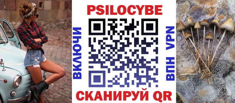 Купить закладки  Новый Оскол  Галлюциногенные грибы мицелий 